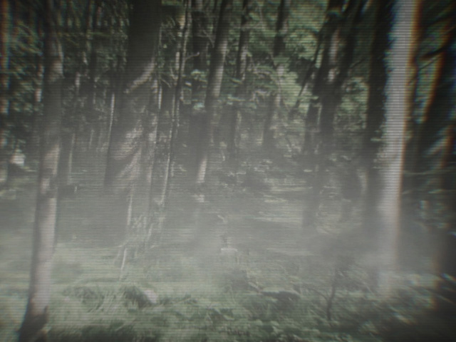 UK Crime Files: Unravelling the Murder Of Janet Commins